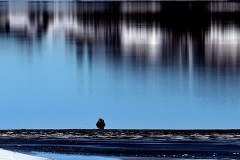 Najciekawsze zdjęcia mijającego tygodnia