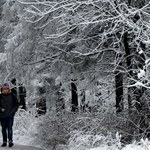 Najcieplejszy grudzień w Rosji