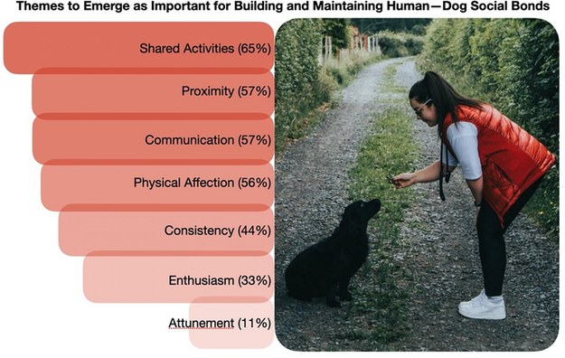 Najczęsciej wymieniane przez ankietowanych czynniki bliskości opiekuna i psa /Fot. Kyle Mackie. Riddoch et al., 2022, PLOS ONE /Materiały prasowe