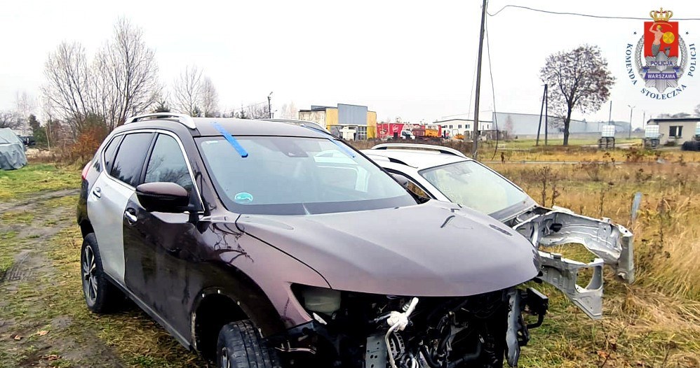 Najczęściej złodzieje wybierali samochody marek koreańskich i japońskich. /Policja