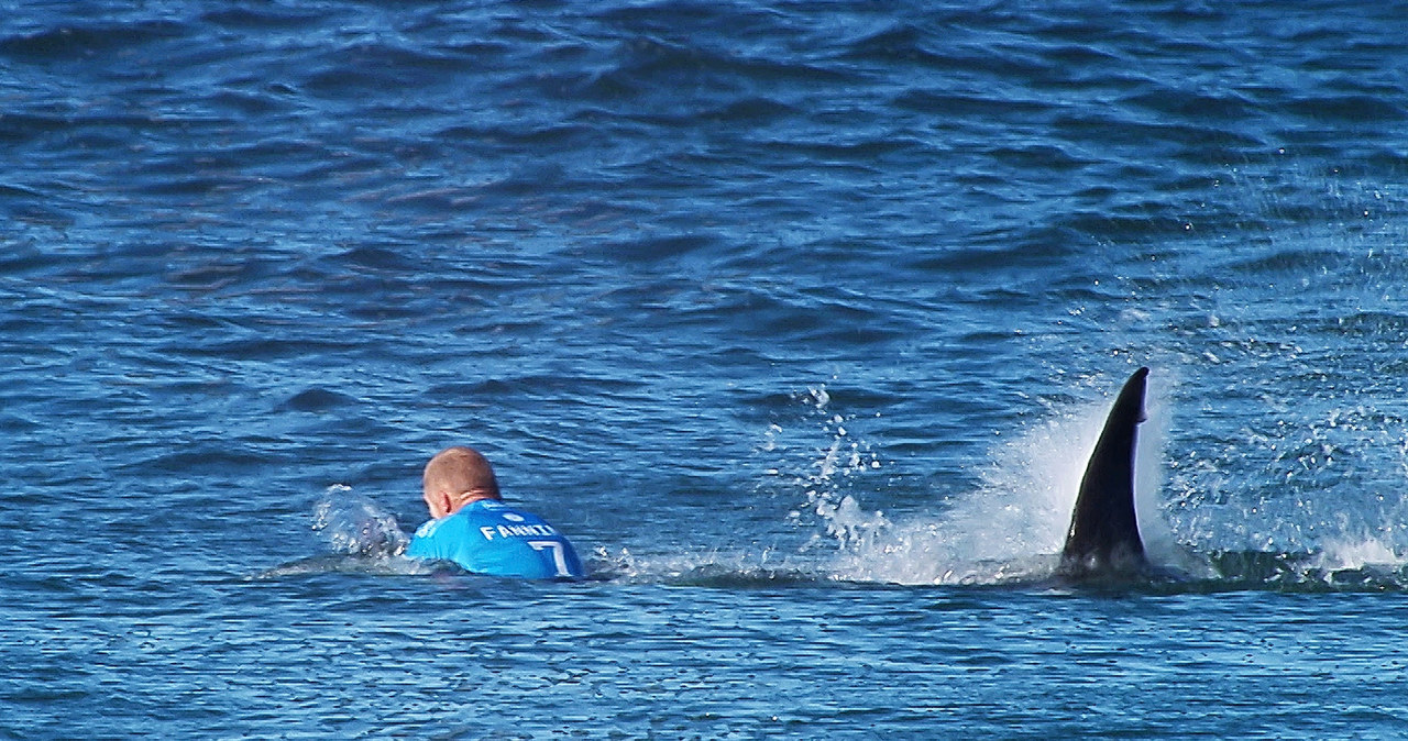 Najczęstszymi ofiarami ataków rekinów u brzegów Australii byli tamtejsi surferzy (zdjęcie ilustracyjne) / WSL / Contributor /Getty Images