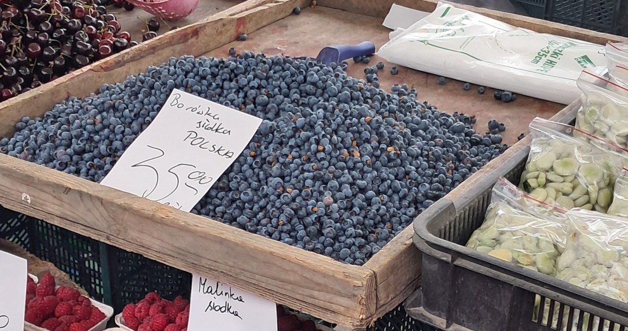 Najdroższe borówki były po 35 zł za 1 kg. /interia /INTERIA.PL