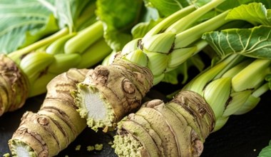 Najdroższe warzywo świata oczyszcza wątrobę i działa przeciwbólowo. Jakie właściwości ma wasabi?