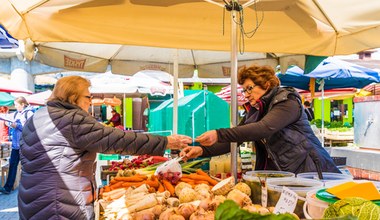 Najdroższe warzywo świata w Polsce jest chwastem. Niemcy płacą 1000 euro za 1 kg