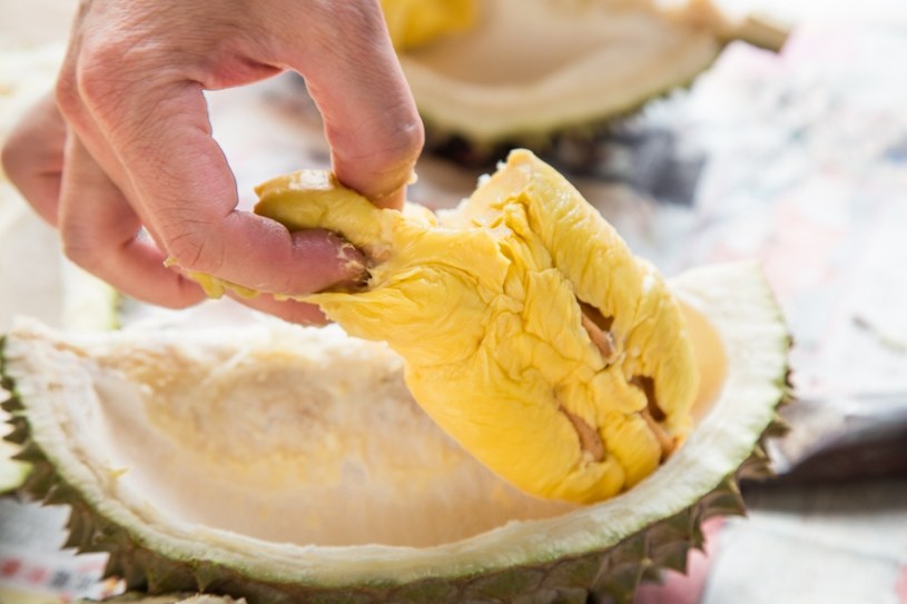 Najdroższy owoc świata rozłupany na ćwiartki. Jeść można go ręką lub łyżką wyskrobywać środek. /thamkc /123RF/PICSEL