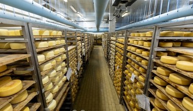 Najdroższy ser na świecie. Na 1 kilogram Polak musi pracować 6 tygodni