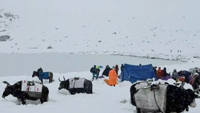 "Najgorsza burza śnieżna, jaką widziałem". Jedna osoba nie żyje, kilkaset uwięzionych