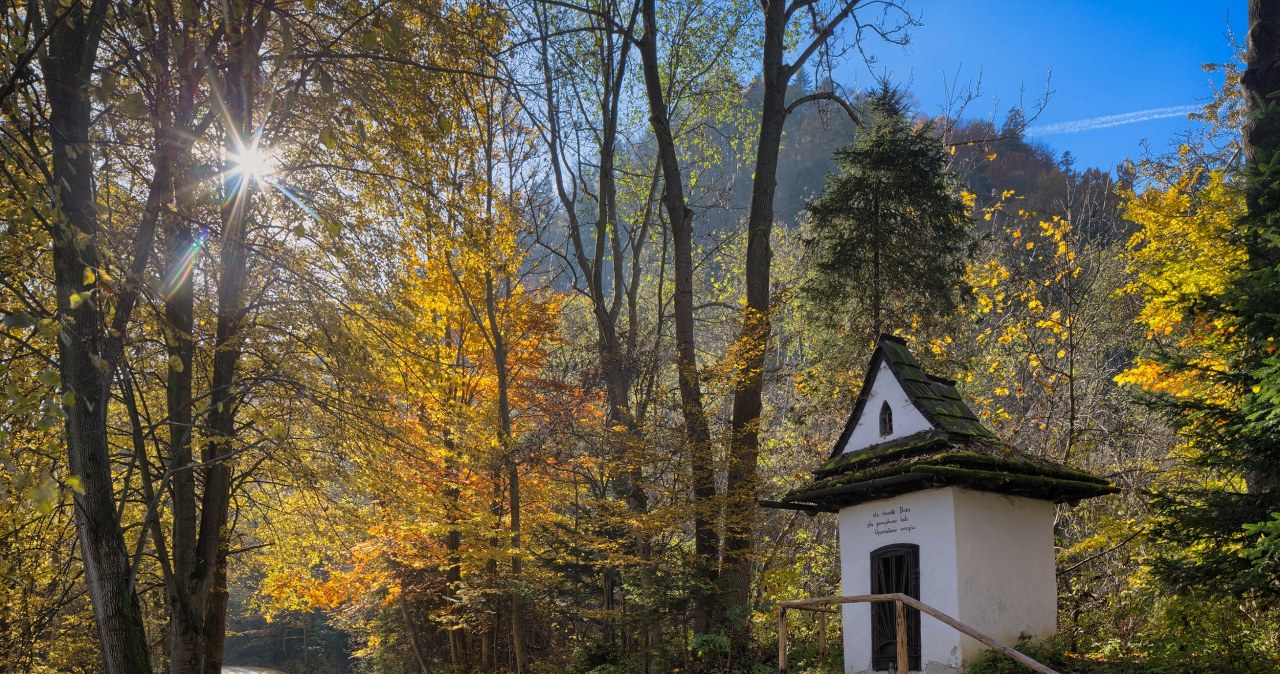 Najkrótszy szlak na Sokolicę pokonasz w 1,5 godziny. To idealna opcja na jesienne wędrówki w górach /Adam Lawnik/East News /East News