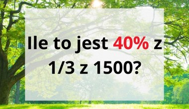 Najlepsi liczą w pamięci. Czy twój mózg pracuje na wysokich obrotach?
