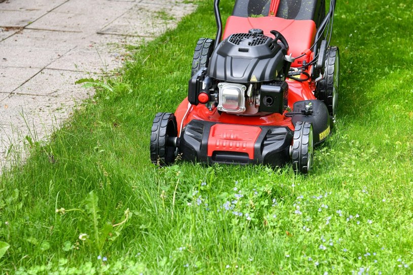 Najlepsza pora na koszenie trawnika. Unikniesz chorób i łysych placków w murawie