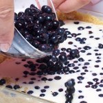 Najlepsze ciasto na długi weekend. Dużo borówek i bardzo mało pracy