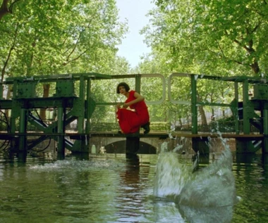 Najlepsze filmy na wiosnę. Te historie zostają w głowie