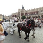 Najlepsze kierunki na krótki wypad. Kraków przegonił wszystkich, nawet Wenecję