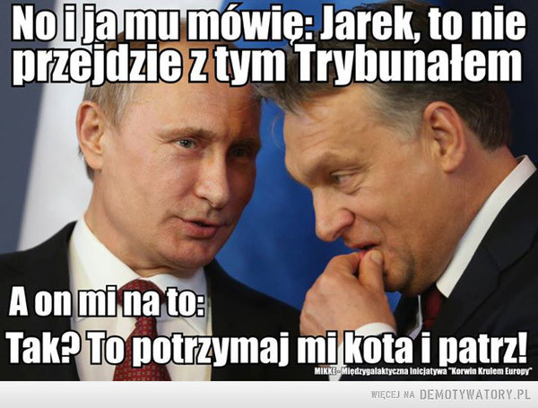 Najlepsze polityczne memy roku /