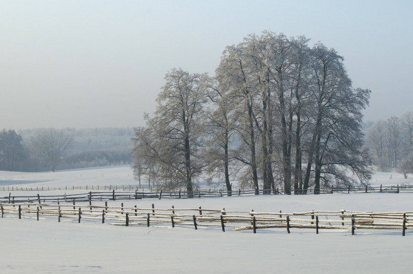 Najlepsze uzdrowisko do odwiedzenia zimą? Unikatowy mikroklimat i widoki jak z bajki