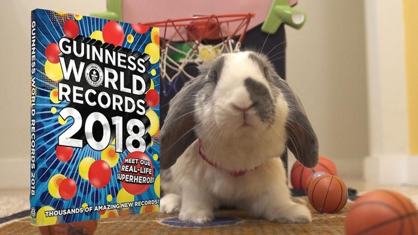 Najlepsze wyczyny 2018 roku, które trafiły do Światowej Księgi Rekordów Guinnessa /Geekweek
