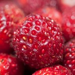 Najlepszy owoc dla seniora. Poprawia kondycję stawów, chroni wątrobę, liście też ma zdrowe