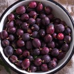 Najlepszy polski owoc dla seniora. Pomaga w trawieniu, dba o kości i poprawia wzrok