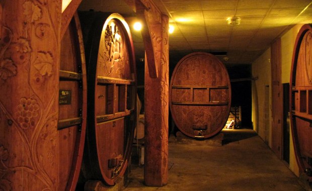 "Najlepszy szampan wyrabiany jest w wielkich dębowych beczkach!"