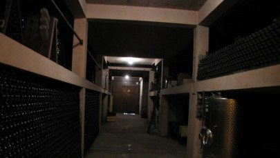 "Najlepszy szampan wyrabiany jest w wielkich dębowych beczkach!"