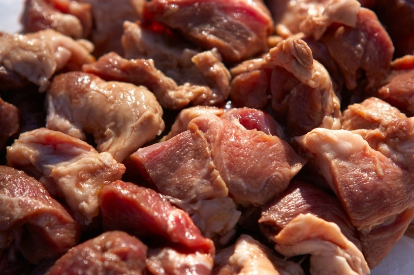 Najlepszym mięsem na szaszłyk jest mięso młodego zwierzęcia /123RF/PICSEL