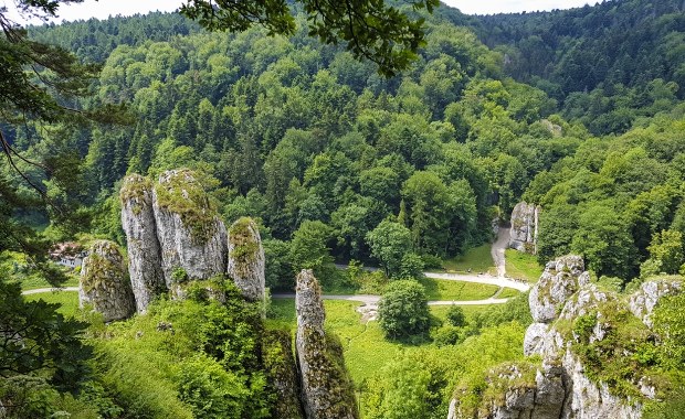 Najmniejszy park narodowy kończy 70 lat. To jedno z ulubionych miejsc Krakowian