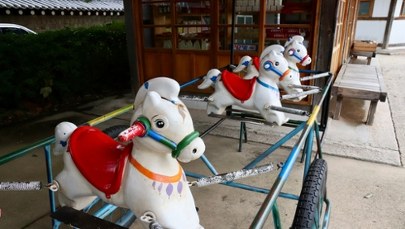 Najniższy na świecie wskaźnik urodzeń jest w tym kraju