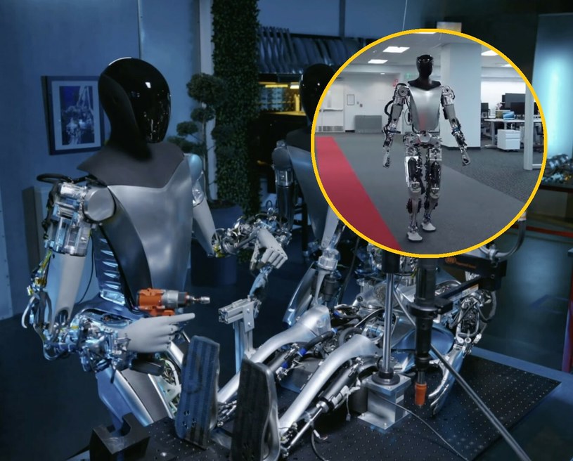 Najnowsza wersja Tesla Bots coraz bardziej przypomina ludzi. Roboty poruszają się po całym terenie zakładów Tesli i potrafią się uczyć /East News