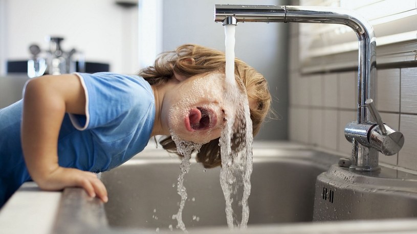 Najnowsze badania pokazują, że picie wody z kranu może obniżyć poziom inteligencji /Geekweek