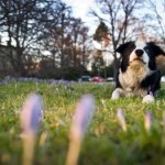 Najnowsze prognozy pogody. Czeka nas słoneczny koniec lutego