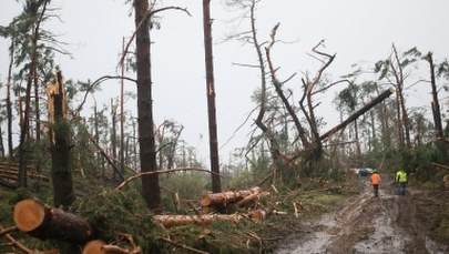 Najnowszy bilans akcji strażaków po nawałnicach. Rekordowa liczba interwencji