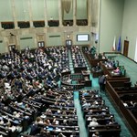 Najnowszy sondaż poparcia. Braun jeszcze rośnie, PSL i Hołownia pod progiem