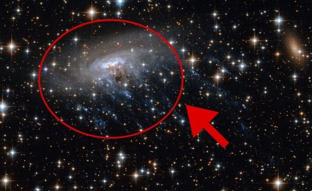 Najodleglejsza "meduza" we Wszechświecie. Takiej galaktyki jeszcze nie widzieliśmy