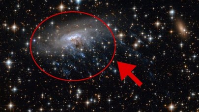 Najodleglejsza "meduza" we Wszechświecie. Takiej galaktyki jeszcze nie widzieliśmy