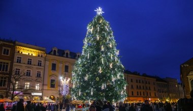 Najpiękniejsza choinka na świecie znajduje się w tym polskim mieście. Turyści kochają też jarmark