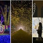 Najpiękniejsze ogrody świateł w Polsce. Te miejsca kuszą już kolorowymi iluminacjami