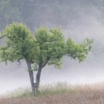 Stefan Krajewski Najpierw szacowanie strat, później pomoc. "Spadek temperatur był rekordowy"