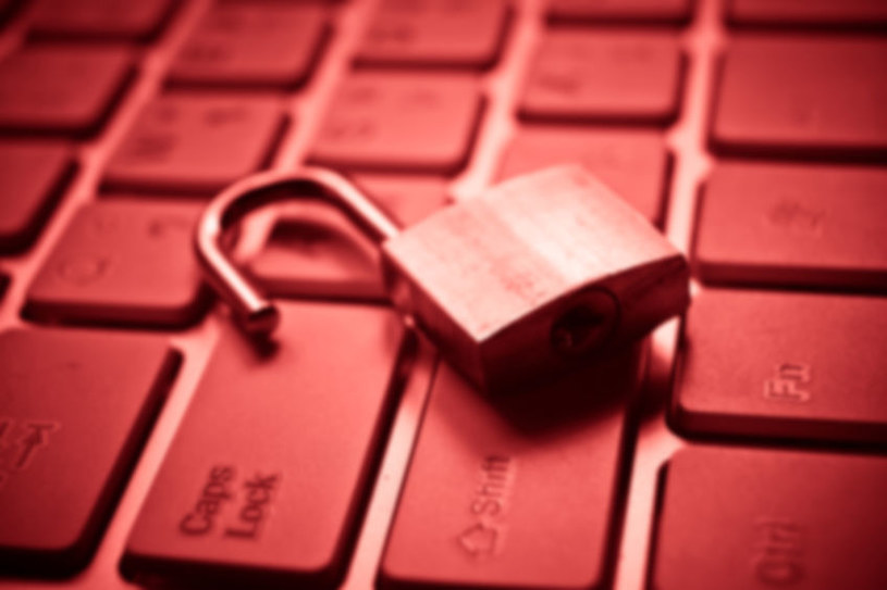 Najpopularniejszym sposobem kradzieży danych są kampanie phishingowe lub wykorzystywanie luk w zabezpieczeniach aplikacji online /123RF/PICSEL