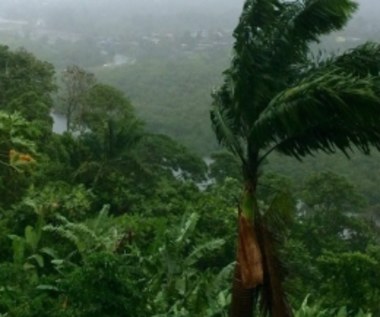 Najpotężniejszy cyklon w historii uderzył w Fidżi. Wiatr wiał z prędkością 325 km/h