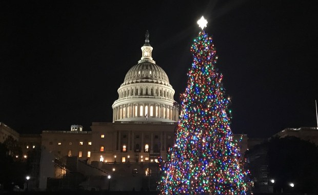 Najsłynniejsze choinki w USA. Poznaj ich historię!