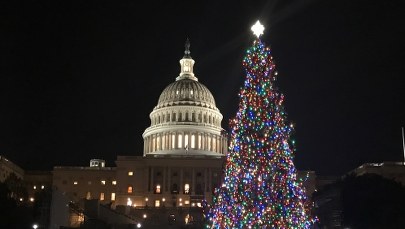 Najsłynniejsze choinki w USA. Poznaj ich historię!