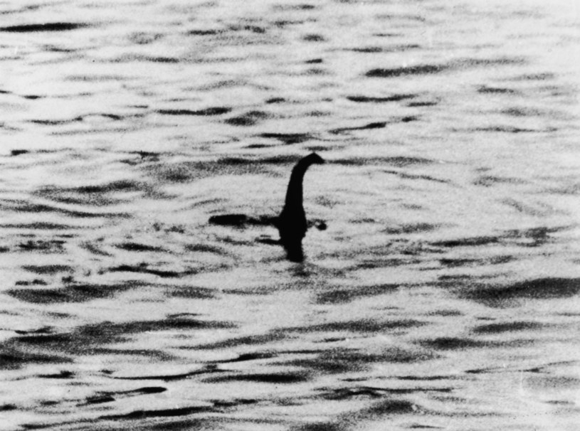 Najsłynniejsze zdjęcie Nessie pochodzi z 1934 r. Jego autorem Robert Kenneth Wilson, ale po latach udowodniono, że to oszustwo /Keystone / Stringer /Getty Images
