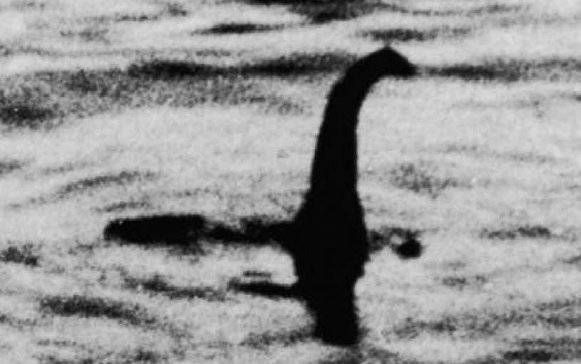 najsłynniejsze zdjęcie rzekomego potwora z Loch Ness /Wikimedia