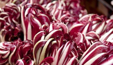 Najsmaczniejsza w swoim gatunku, dojrzewa w listopadzie. Oczyszcza organizm, pomaga w odchudzaniu i anemii