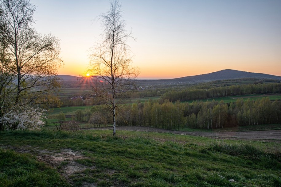 Najstarsze ślady kręgowców na lądzie odkryte w Górach Świętokrzyskich /Shutterstock