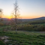 Najstarsze ślady kręgowców na lądzie odkryte w Górach Świętokrzyskich