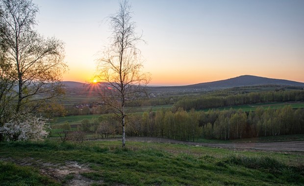 Najstarsze ślady kręgowców na lądzie odkryte w Górach Świętokrzyskich