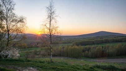 Najstarsze ślady kręgowców na lądzie odkryte w Górach Świętokrzyskich