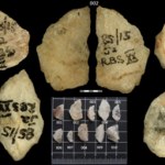 Najstarsze zatrute strzały w historii. To zmienia początki Homo sapiens