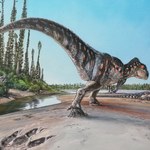 Najstarszy dinozaur właśnie skończył 200 lat. Nic się nie zgadzało
